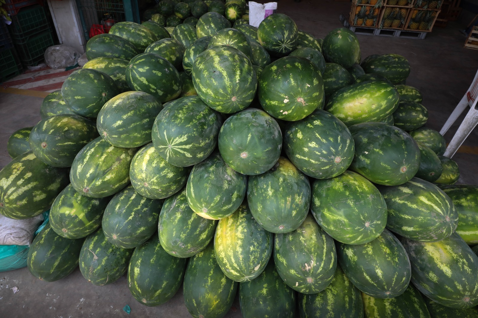 
MINISTERIO DE DESARROLLO AGRARIO Y RIEGO