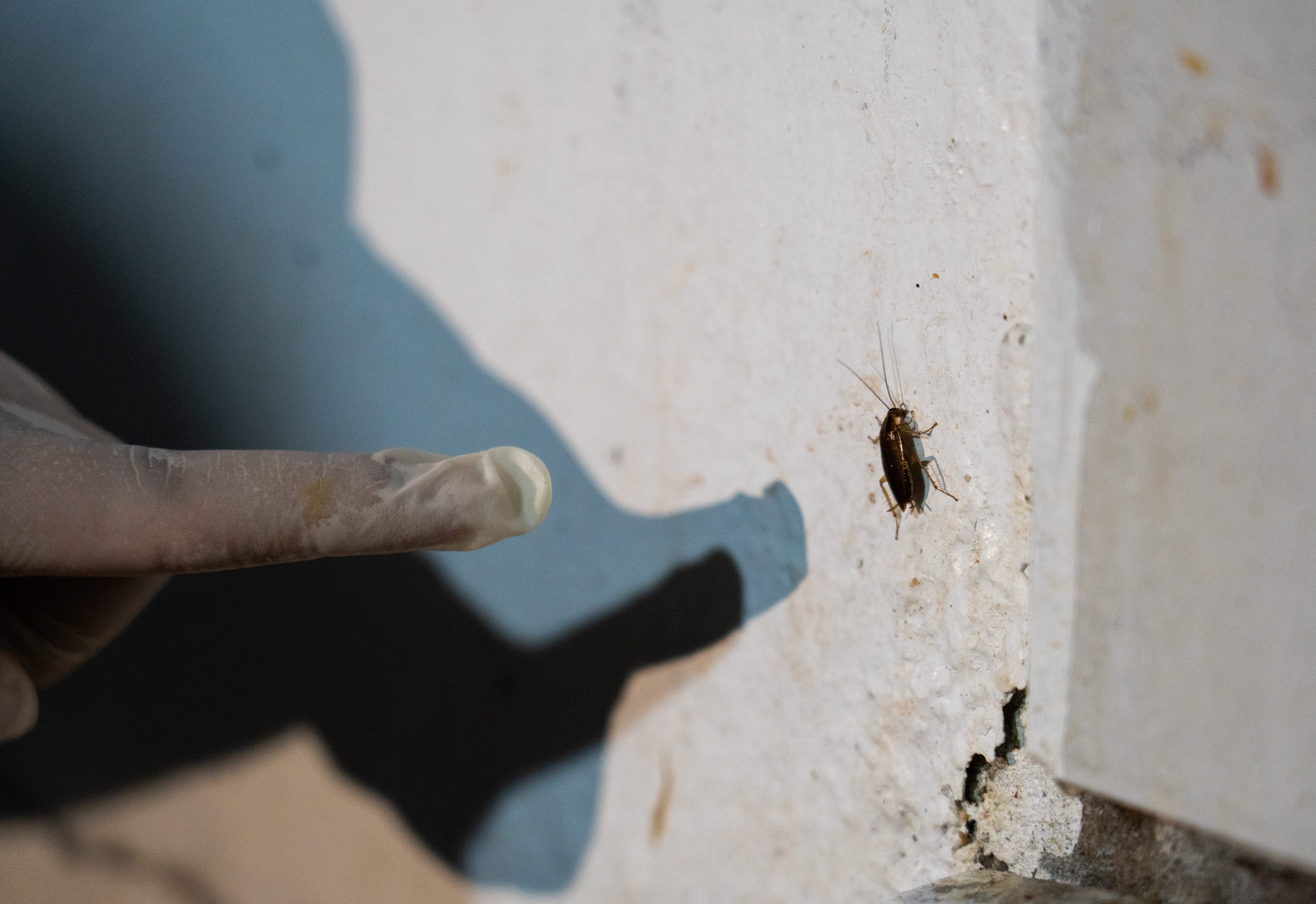 Oficina de Imagen Institucional, Municipalidad Provincial de Tambopata