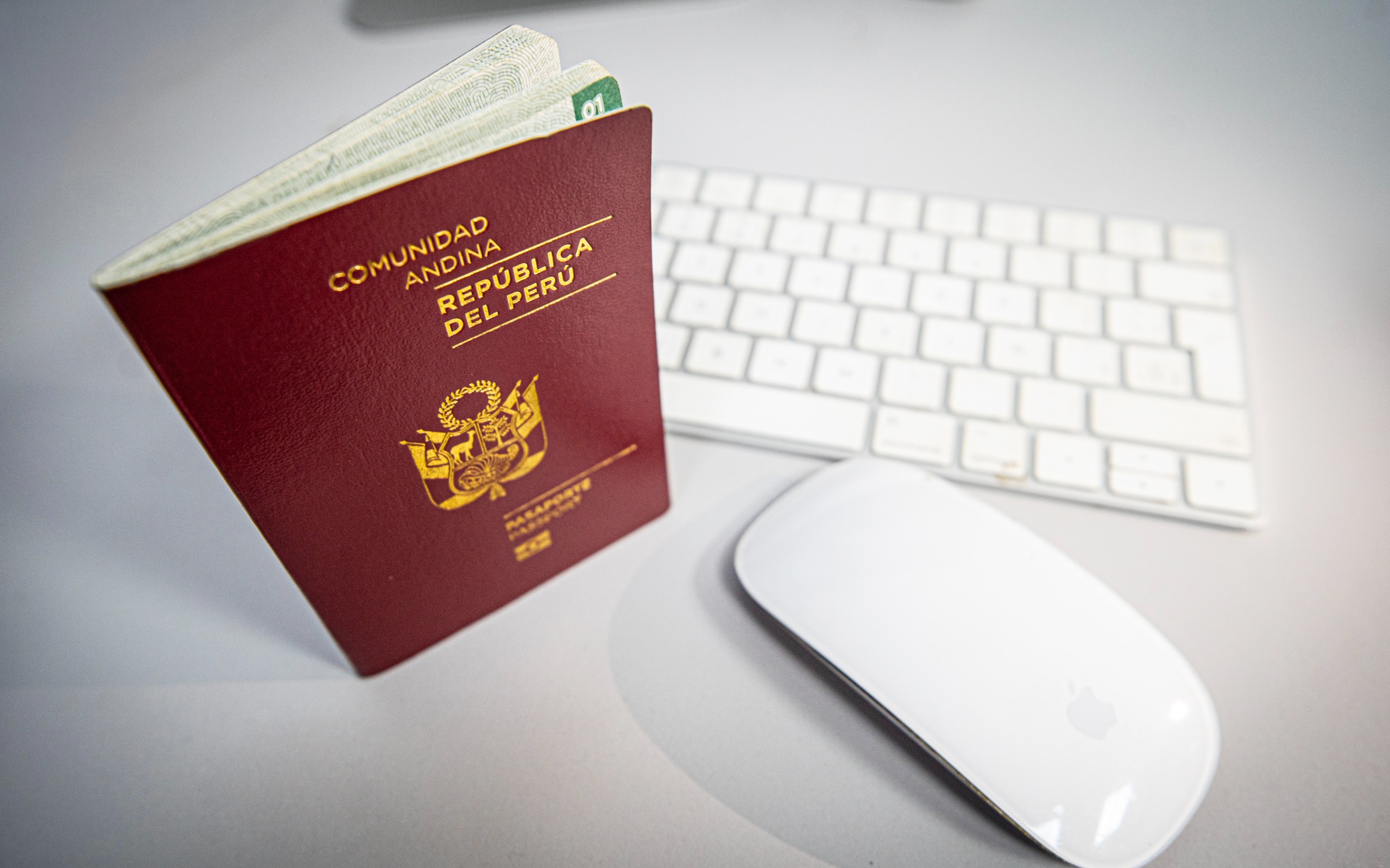 Revisa tu pasaporte 3