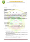 Vista preliminar de documento ANEXOS PROCESO D.L 728. N 002-2026