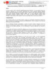 Vista preliminar de documento 000155-19