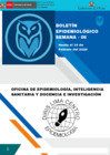 Vista preliminar de documento BOLETIN EPIDEMIOLOGICO SE 06-2026