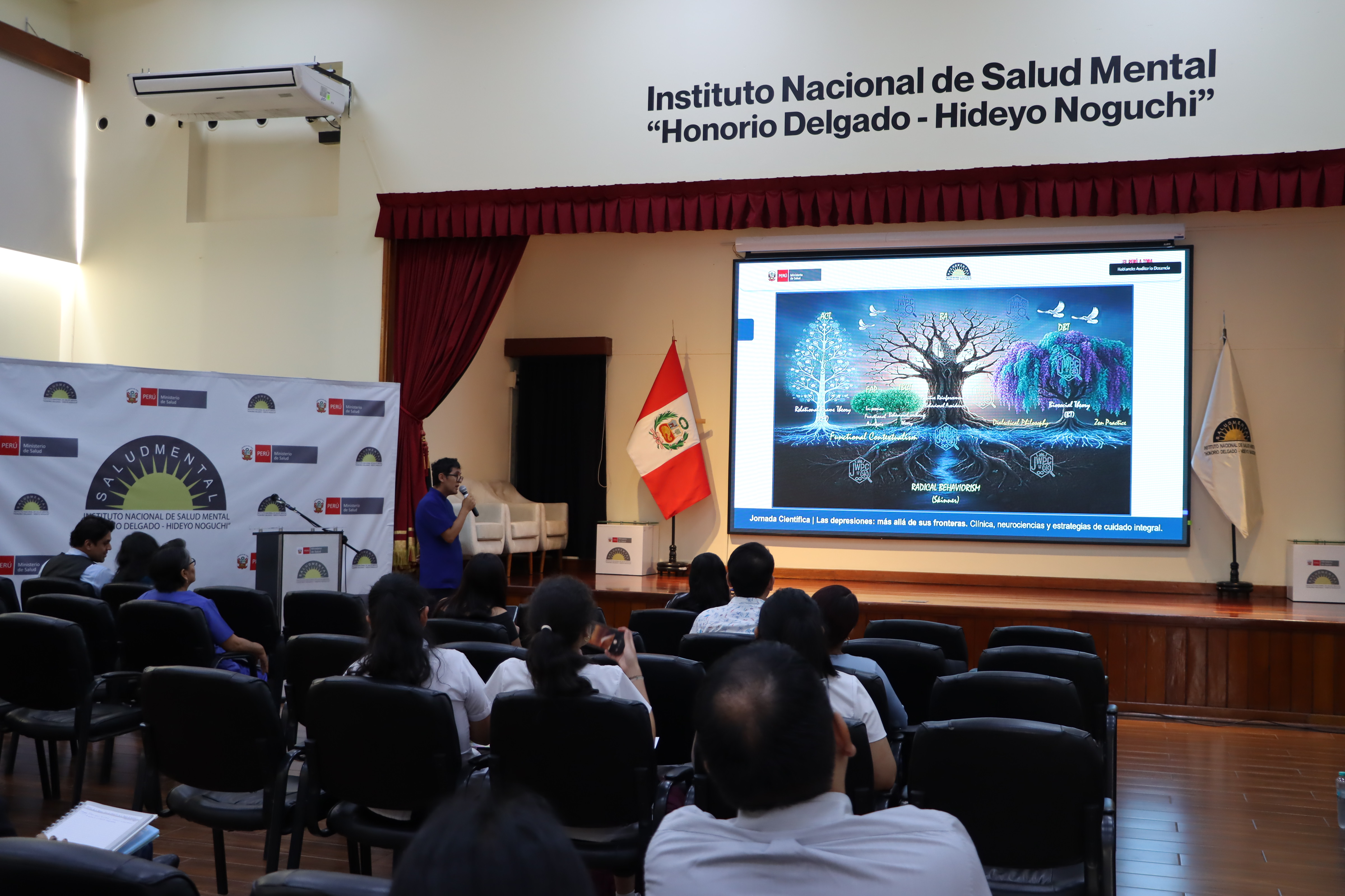 Experto del INSM propone la Terapia de Aceptación y Compromiso como un cambio de paradigma para el abordaje integral de la depresión mayor.