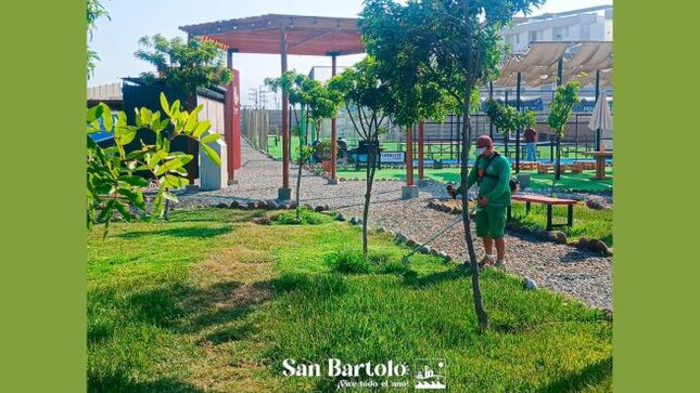 Modelo para subir GOB (26)