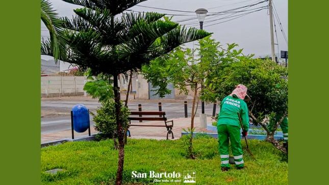 Modelo para subir GOB (35)