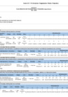 Vista preliminar de documento Anexo B-5 POI Anual con Programación Física y Financiera - SUNARP Zona Registral n.° III