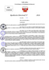 Vista preliminar de documento Resolución Directoral N° 000271-2026