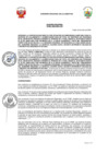 Vista preliminar de documento file