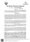 Vista preliminar de documento RDR Nº 0490-2026-GRSM-DRE