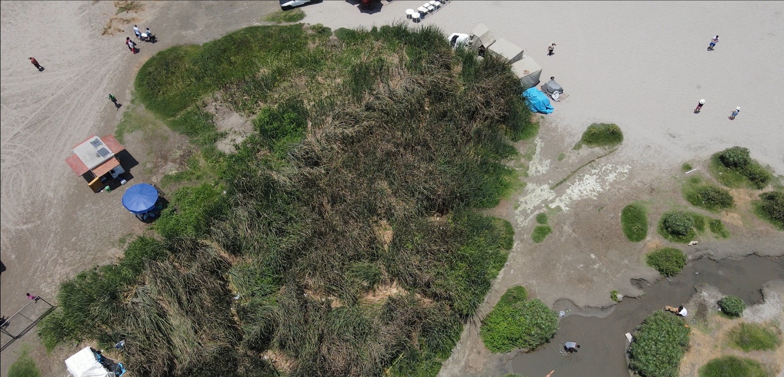 FEMA lidera recuperación y limpieza de humedal en la Costa Verde de Barranco