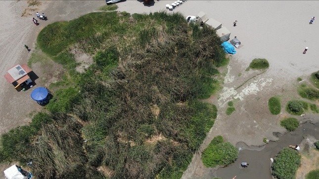 FEMA lidera recuperación y limpieza de humedal en la Costa Verde de Barranco