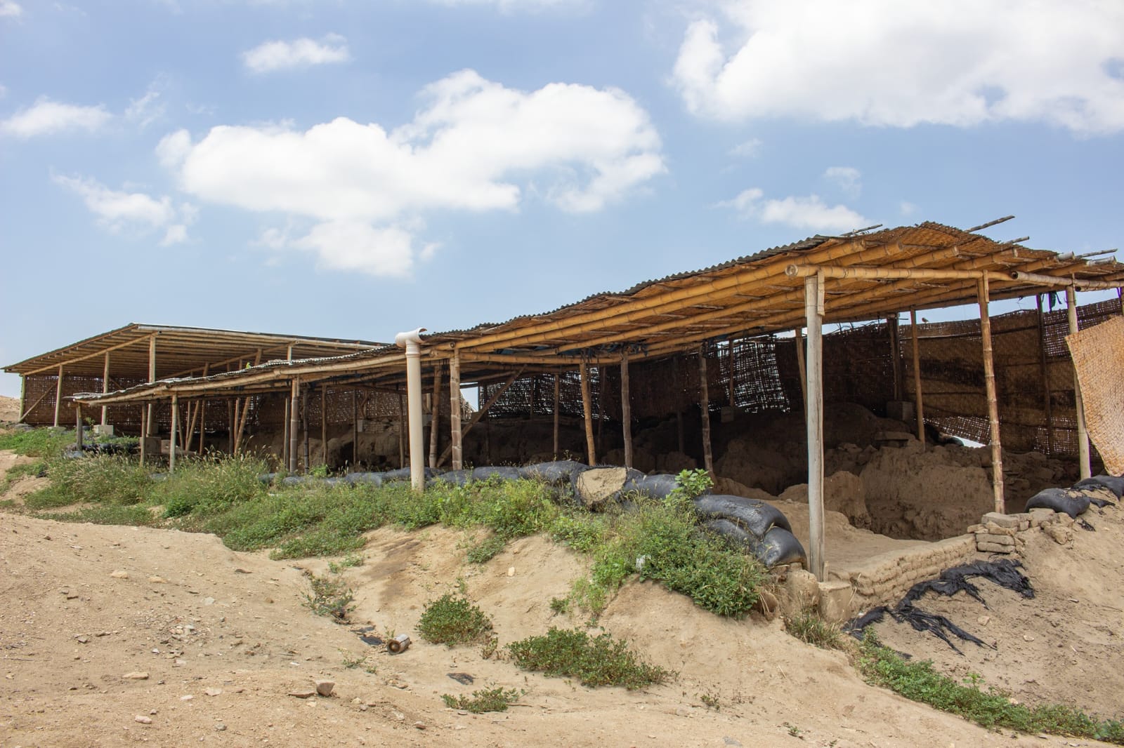 Ministerio de Cultura intensifica vigilancia en sitios arqueológicos en Lambayeque ante lluvias intensas