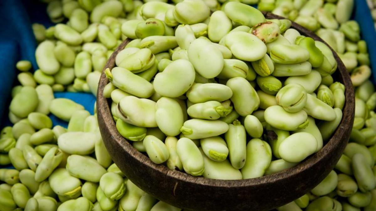 MINISTERIO DE DESARROLLO AGRARIO Y RIEGO