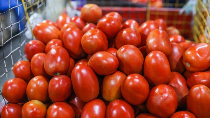 MINISTERIO DE DESARROLLO AGRARIO Y RIEGO