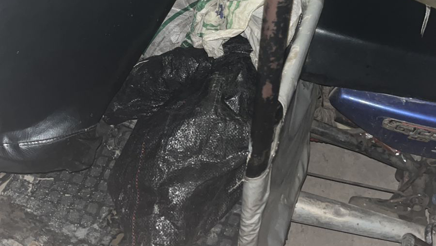 FEMA Loreto logra condena para dos personas por poseer ilegalmente tres capibaras en Iquitos