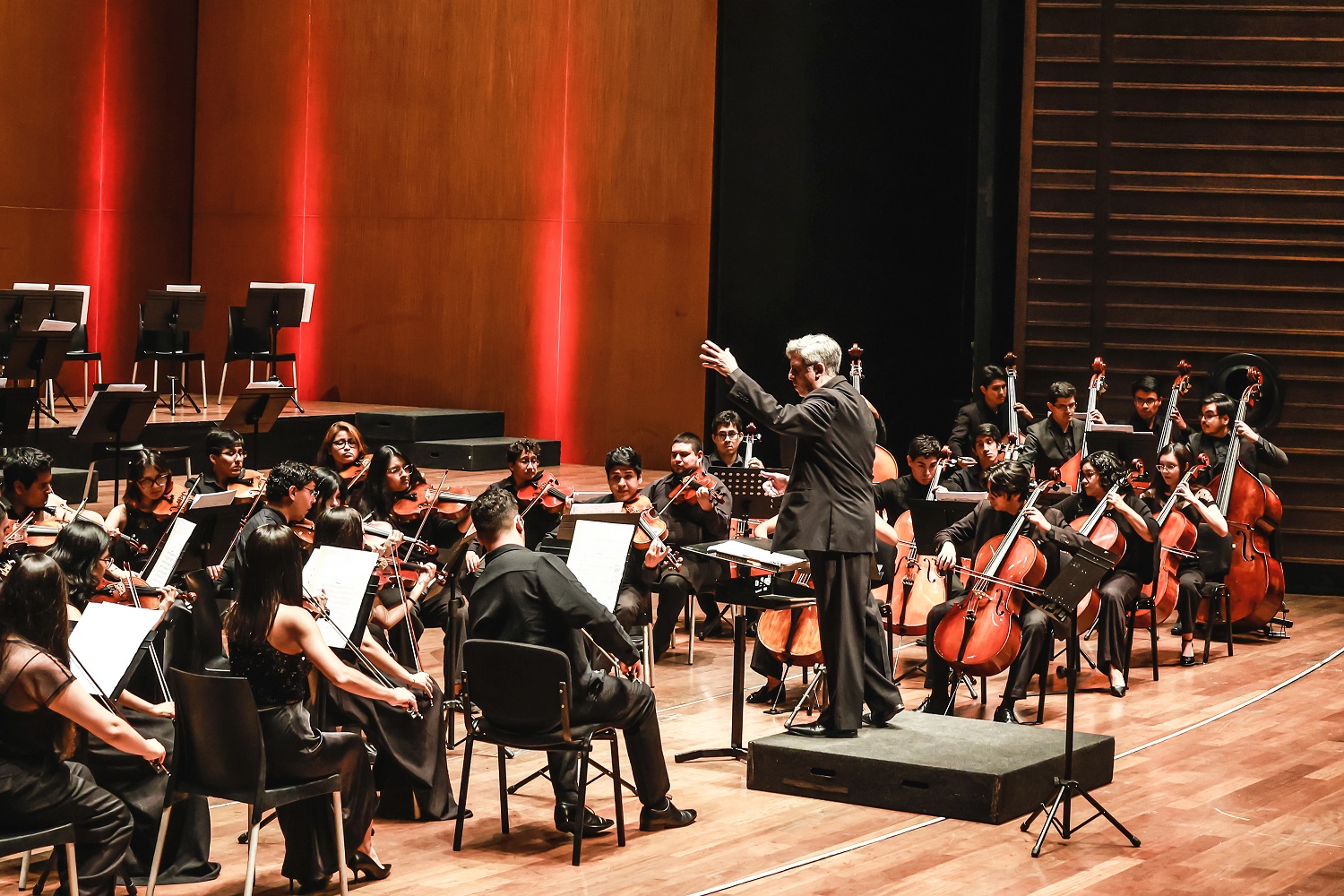 Ministerio de Cultura: Orquesta Sinfónica Nacional Juvenil Bicentenario anuncia conciertos “Las nueve sinfonías de Beethoven”