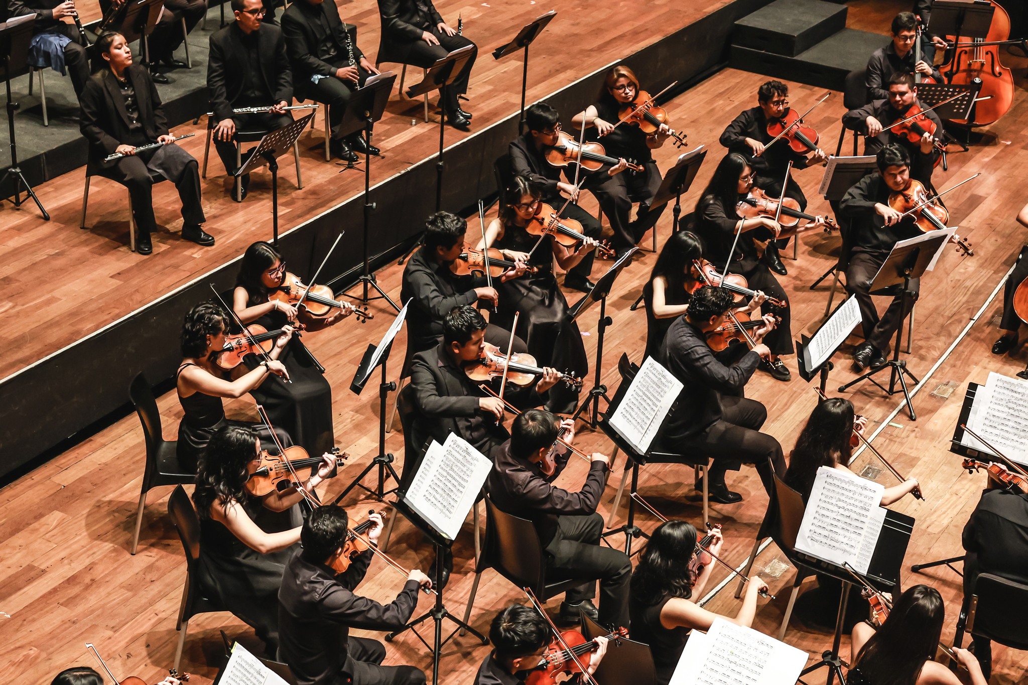 Ministerio de Cultura: Orquesta Sinfónica Nacional Juvenil Bicentenario anuncia conciertos “Las nueve sinfonías de Beethoven”