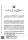 Vista preliminar de documento RDR 0481-2026-DRELM-I