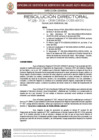 Vista preliminar de documento RD Nº 91