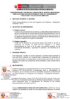 Vista preliminar de documento TDR 282