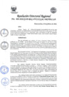Vista preliminar de documento Resolución Directoral Regional N.° 008-2026/GOB-REG-HVCA/GGR-DRYTPLCLP