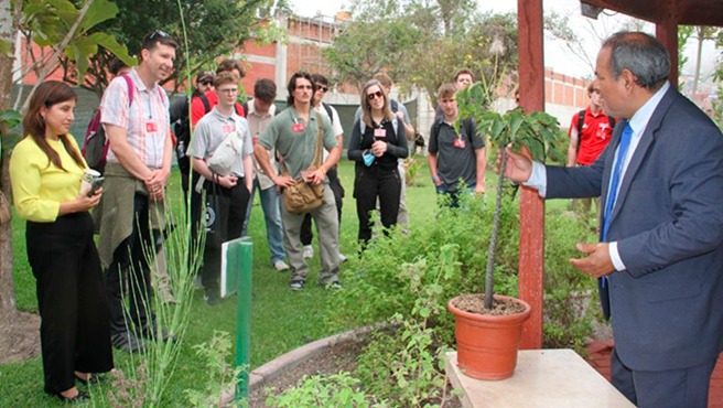 Minsa reinicia ciclo de visitas a sus jardines botánicos de plantas medicinales y alimenticias