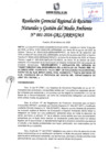 Vista preliminar de documento RGRRNGMA 01-2026