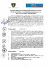 Vista preliminar de documento 51