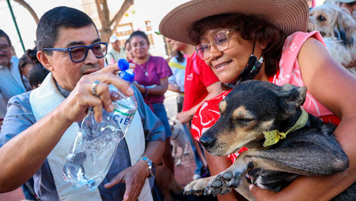 Lince brindó más de 1,700 atenciones a mascotas durante Gran Campaña Veterinaria