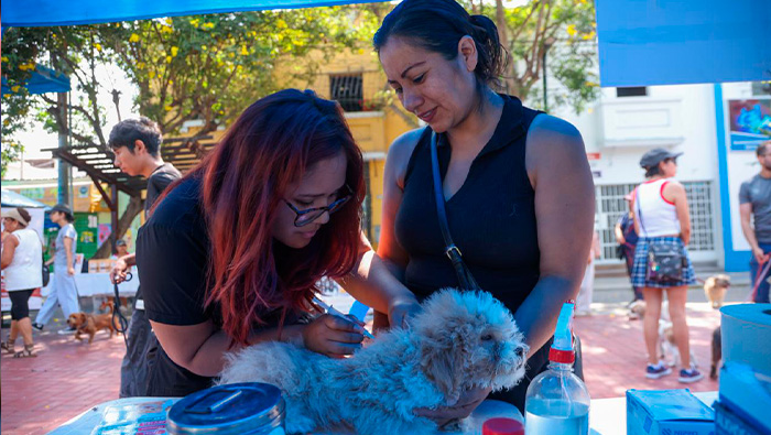 Lince brindó más de 1,700 atenciones a mascotas durante Gran Campaña Veterinaria