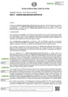 Vista preliminar de documento RDE-000045-2026-DE