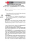 Vista preliminar de documento TDR. REQ. 1245