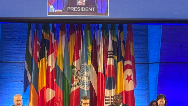 Perú presidió la 19° sesión del Comité Intergubernamental de la UNESCO para la diversidad cultural