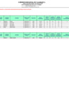 Vista preliminar de documento PUBLICACIÓN FINAL DE CUADRO DE MÉRITO DE ENCARGATURA ADICIONAL 2026 - DIRECTOR I.E.