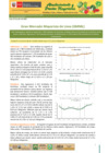Vista preliminar de documento Boletín de Abastecimiento y Precios Mayoristas GMML y MM Nº2 -02/07/20