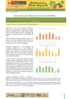 Vista preliminar de documento Boletín de Abastecimiento y Precios Mayoristas GMML y MM Nº2 -06/07/20