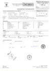 Vista preliminar de documento 128