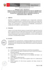 Vista preliminar de documento Directiva 004-2020