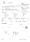 Vista preliminar de documento 131