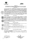 Vista preliminar de documento 132