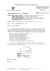 Vista preliminar de documento 139
