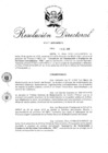 Vista preliminar de documento R.D. N° 004-2019-INPE_15.PDF