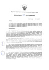 Vista preliminar de documento Resolucion 133-2017