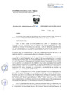 Vista preliminar de documento R.a. 303-2019-PSI-OAF