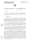 Vista preliminar de documento R.a. 462-2019-PSI-OAF