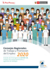 Vista preliminar de documento CRTPE 2020 - Estado de Emergencia COVID-19, mapeo de preocupaciones y agenda de diálogo 