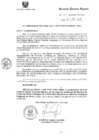 Vista preliminar de documento R.E.R. Nro 185-2020-GR-GR PUNO