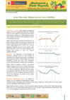 Vista preliminar de documento Boletín de Abastecimiento y Precios Mayoristas GMML y MM Nº2 -09/07/20