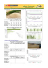 Vista preliminar de documento Boletín de ARROZ - 09/07/20