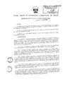 Vista preliminar de documento 11